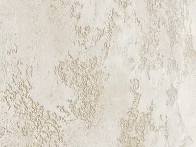 Decorative plaster 21 Texture