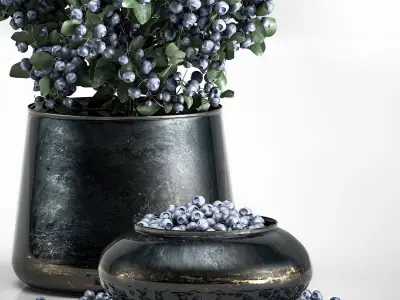 blueberry tree in Pots and bowl with berries 3D model