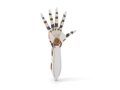 Futuristic Robotic Hand Model Pack Low-poly 3D model purchase