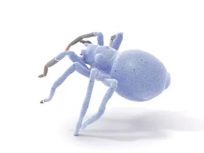 Red Back Spider model pack Low-poly 3D model