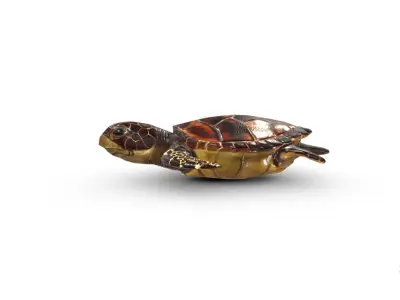 Hawksbill turtle  Low-poly 3D model