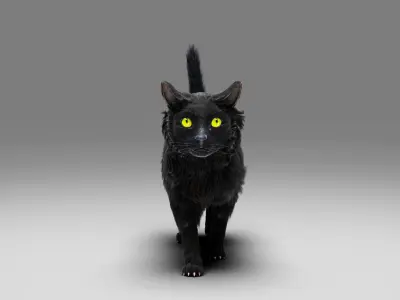 Fur Cat Black Rigged in Blender Low-poly 3D model