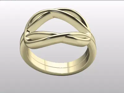 Elegant Intertwined Knot Ring File Item 71 3D print model