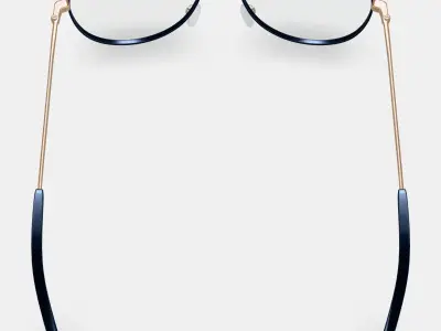 York Eyeglasses in Brushed Ink with Polished Gold 3D model