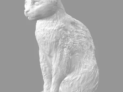 Cat for 3d printing 3D print model 3D model