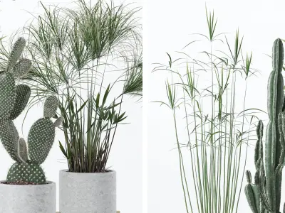 Plants collection 123 3D model