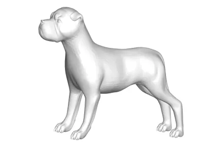 Dog - 3D model 5