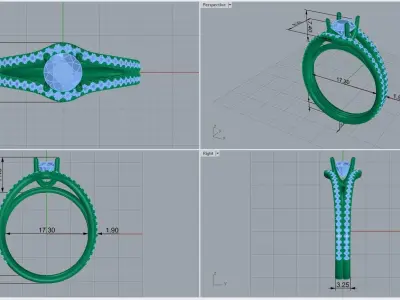 ring code 233 3D print model