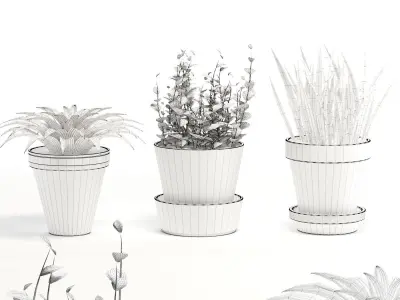 Terracotta Pots Plants 3D model
