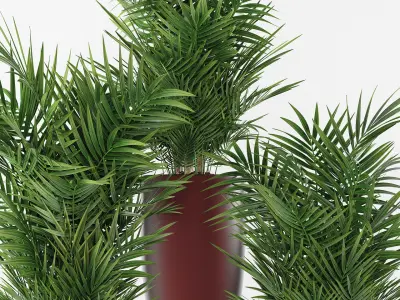 plants 264 3D model
