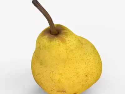 Photorealistic 3D scan of pear Low-poly 3D model