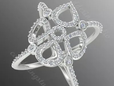 Ring ri216 3D print model