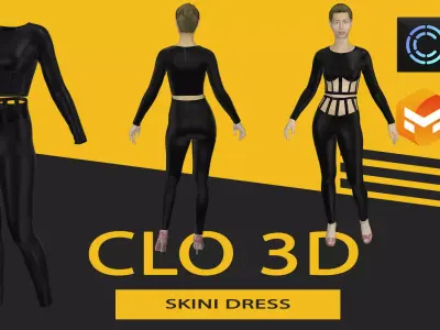 Skini dress Marvelous Designer or Clo3D ZPRJ 3D model