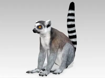 Ring-tailed lemur Low-poly 3D model