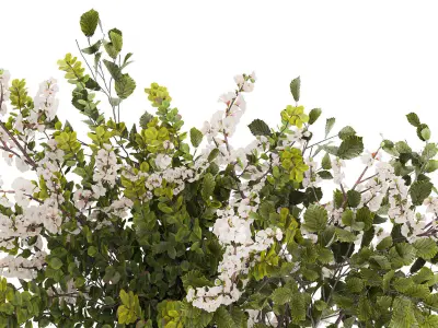 Bouquet Of Green Sakura Cherry Branches And Green 595 3D model