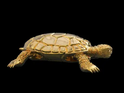 TURTLE TORTOISE 3D print model