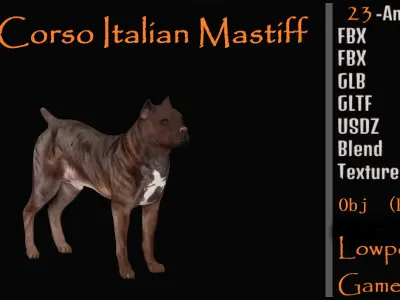 Cane Corso Italian Mastiff Dog Low-poly 3D model