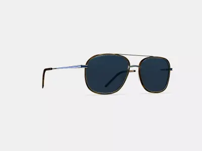 Aiko Sunglasses in Oak Barrel with Riesling 3D model