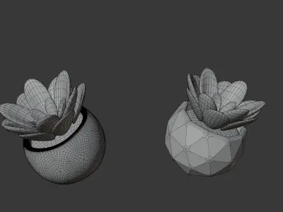 Free Succulent Plant in Low Poly Pot   PBR Texture Game Ready Free 3D model