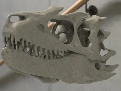 T Rex scull Mouth Closed 3D 3D model