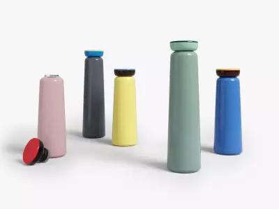 Sowden Bottles 3D model