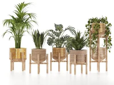 Plant-Collection-01 three wooden planters Free 3D model