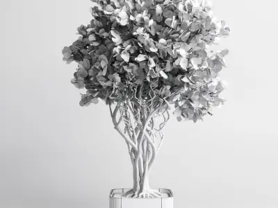 indoor plant 473 pot plant tree concrete dirt vase 3D model