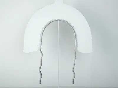 20th Century Brazilian Tribal Feather Headdress 3D model