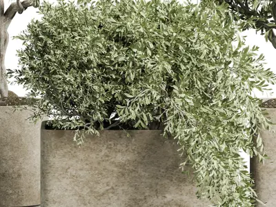 Indoor plant 04 3D model purchase