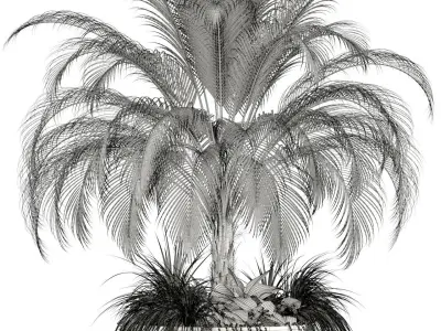 Plants collection 104 3D model