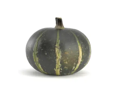 Decorative Pumpkin Gourd 1 3D model