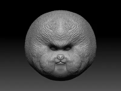 Bichon Head - 3D Print Model 3D print model