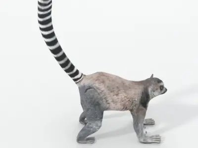 Lemur Low-poly 3D model