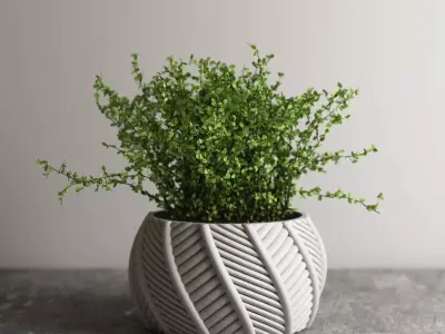 pot g65 3D print model  3D print model