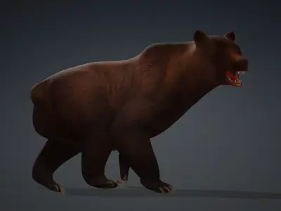 Brown Bear 3D model buy