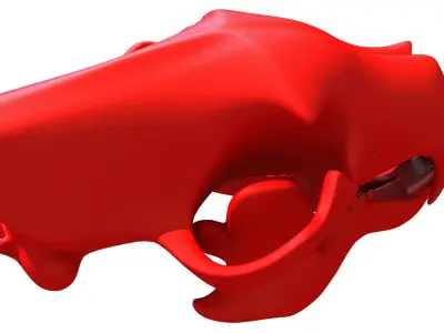 3D Print Bear Skull  3D model