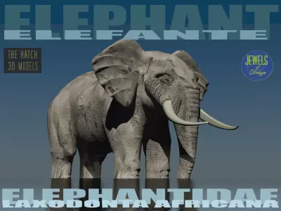 Elephant 3D model with tusks Low-poly 3D model