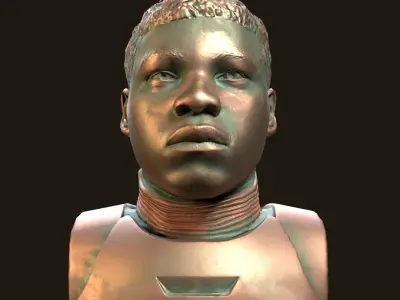 Finn - Star Wars bronze bust Low-poly 3D model