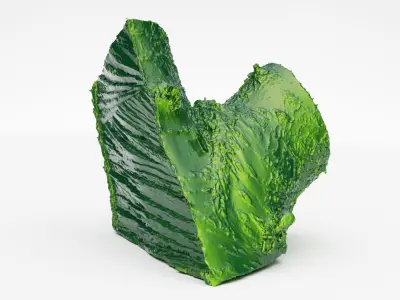 Cherry firewood log 3d scan 3D model