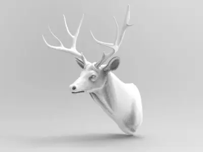 deer head 3D model 11