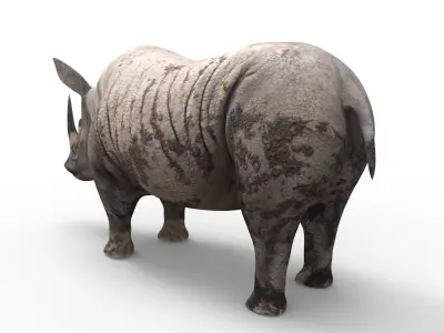 Dirty Realistic Rhino 3D Models  Low-poly 3D model
