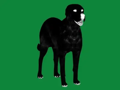 Akbash Dog Low-poly 3D model
