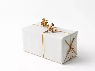 Elegant Gift Box Model Pack with Detailed Decoration Low-poly 3D model