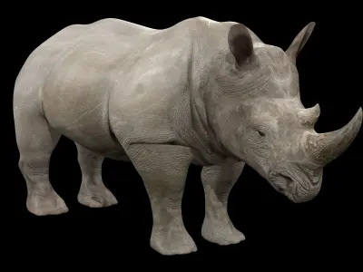 Rhinoceros Rigged Low-poly 3D model