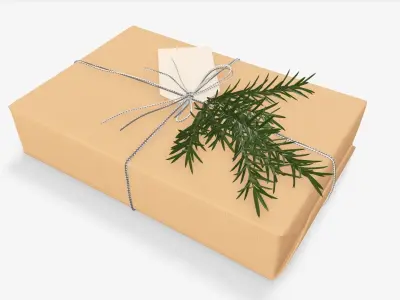Wrapped Christmas gift 05 3D model