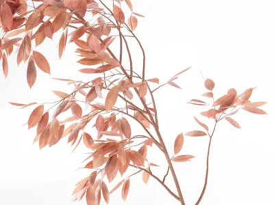 Plants Bouquet 05 3D model