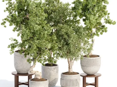 Collection of plants vol 3 3D Models 