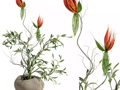 Autumn Bouquet Collection 