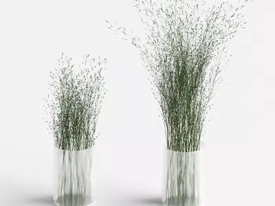 Grass in vases 3D model