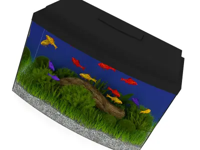 Black Top Aquarium 3D model